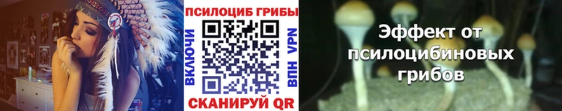Галлюциногенные грибы MAGIC MUSHROOMS  Михайловка 