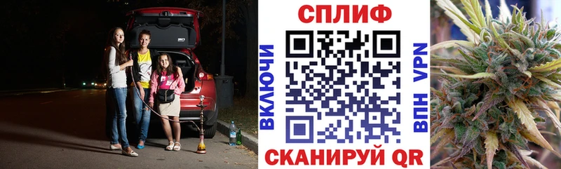 где можно купить наркотик  KRAKEN ТОР  Бошки марихуана план  Михайловка 